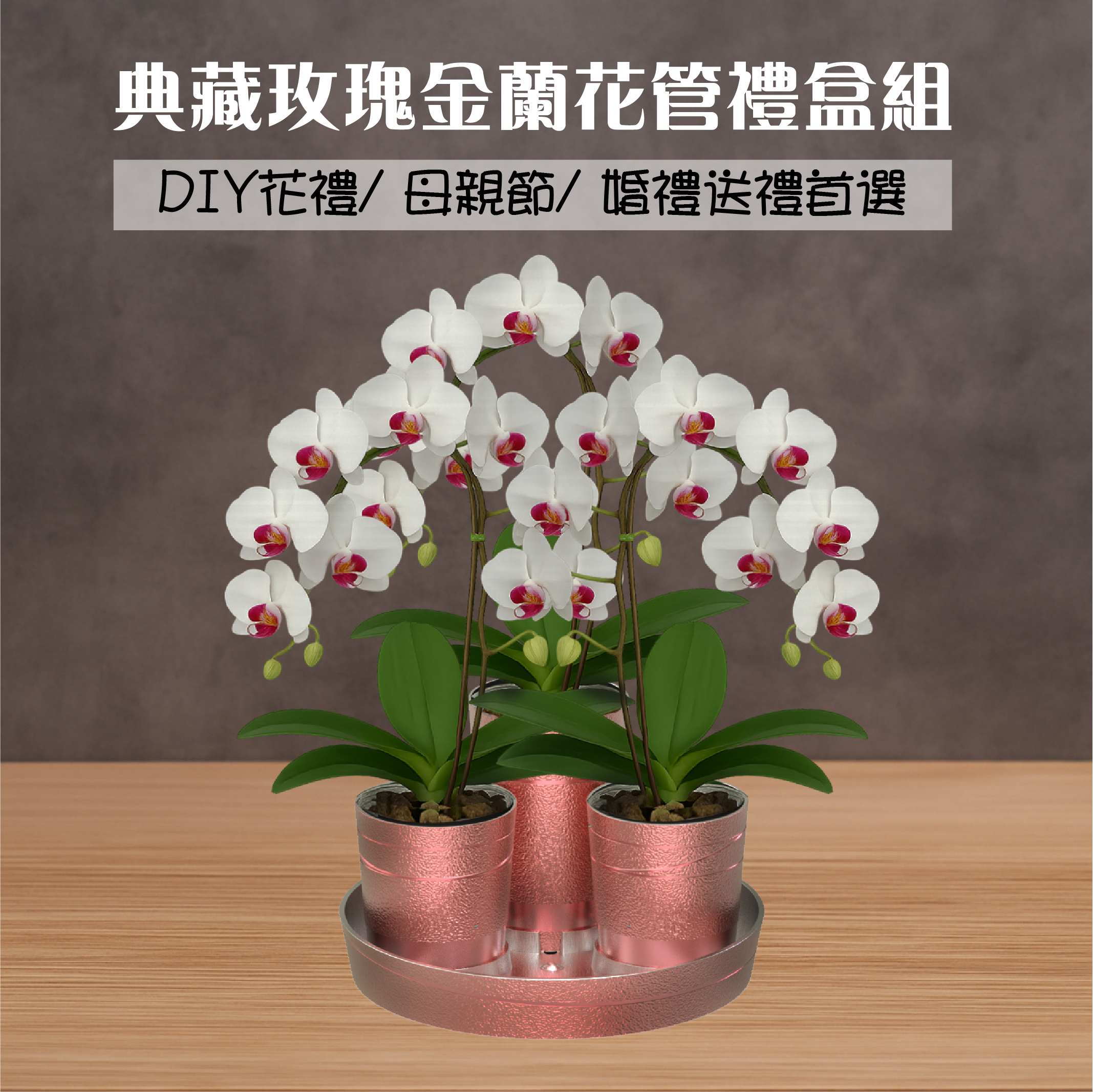 耀金蘭花盆栽示意-婚禮送禮首選