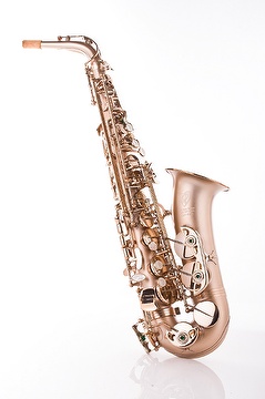 Alto Saxophone