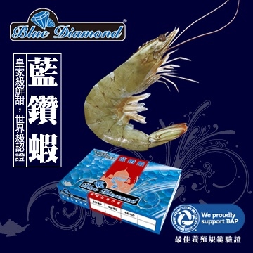 Blue Diamond Shrimp