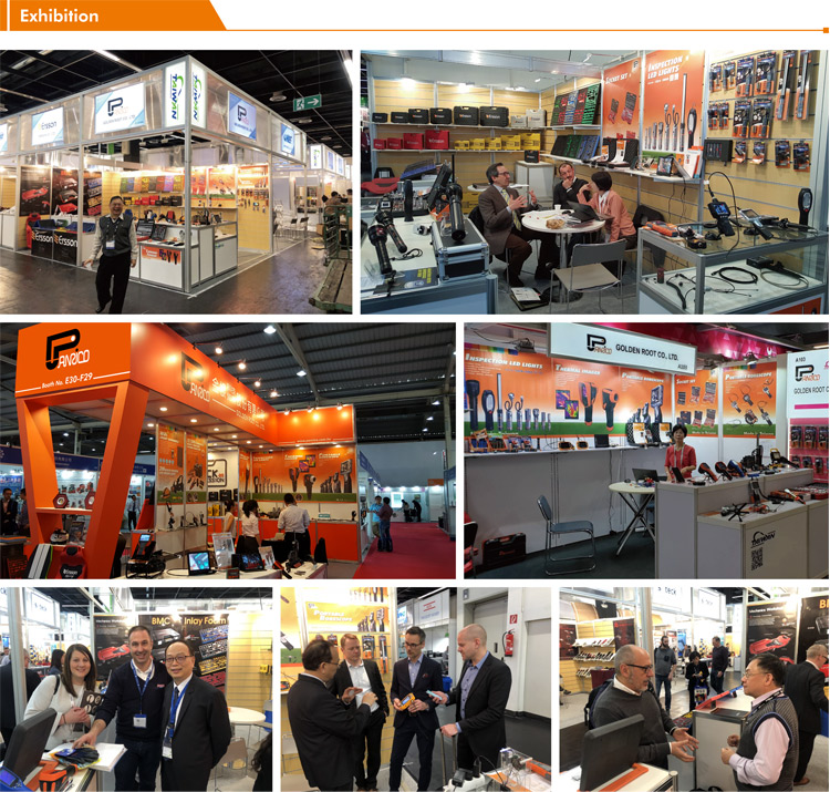 Golden Root Co., Ltd. Exhibition