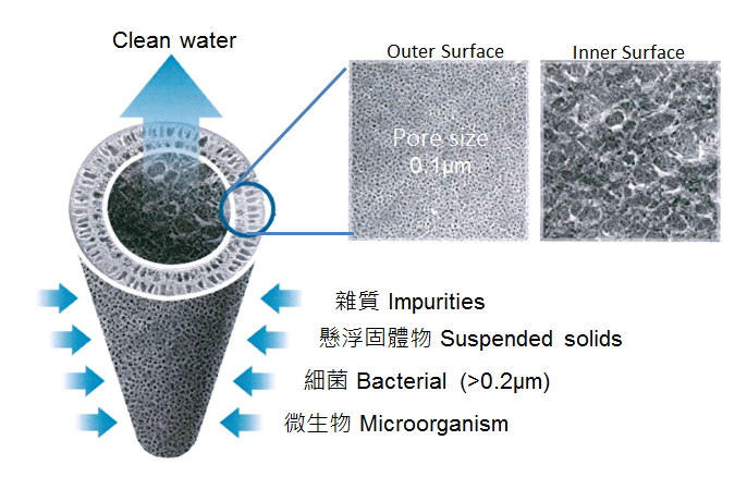 sterile pur Direct drinking water filter use ultrafiltration membrane and activated carbon fiber can removing bacteria, dechlorination and remove lead in water.