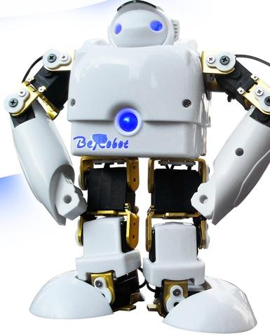 programmable humanoid robot