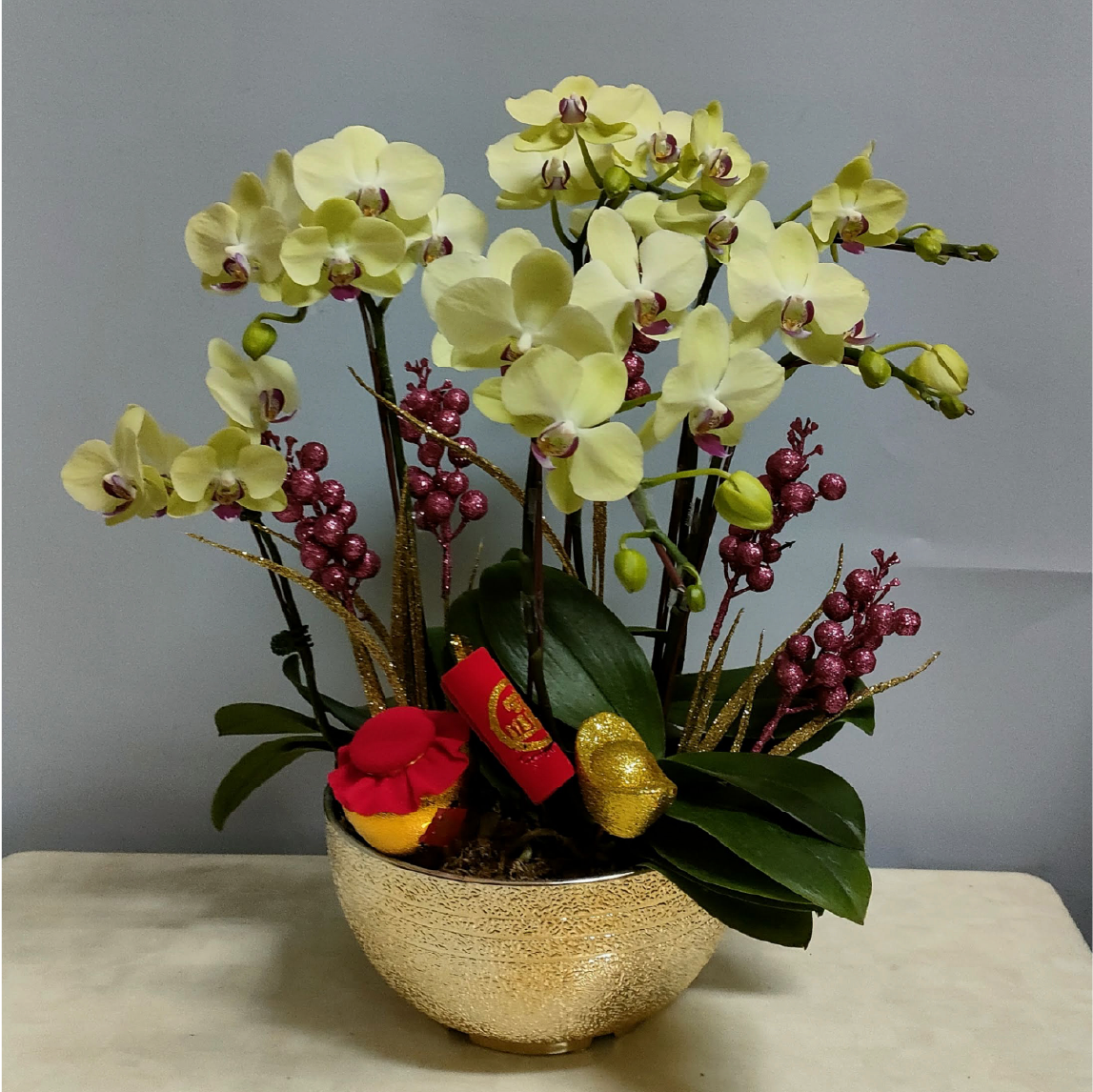 Golden Prosperity — orchid arrangement
