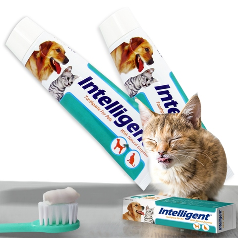 2020 High Quality Brand INTELLIGENT Cat Toothpaste Swallowed Safe For   Photobank (5) 480x480 