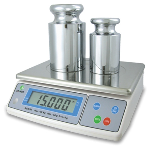 Precision Industrial Weighing Scale with Overload Protection