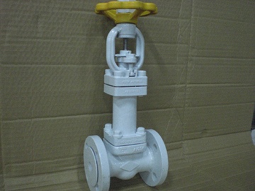 Bellow gate valve